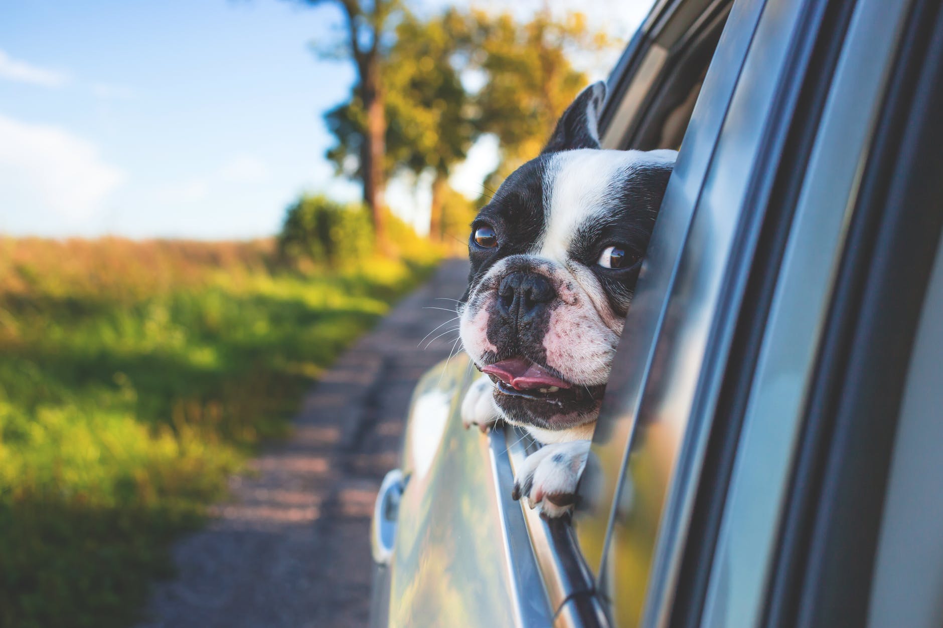 Road Trip Tips