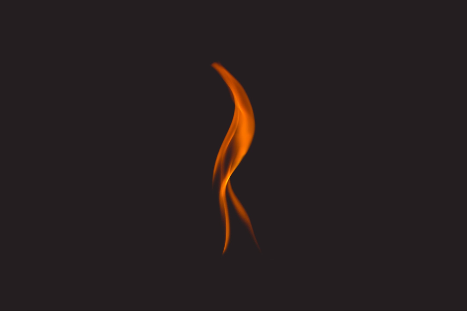 Pet Fire Safety